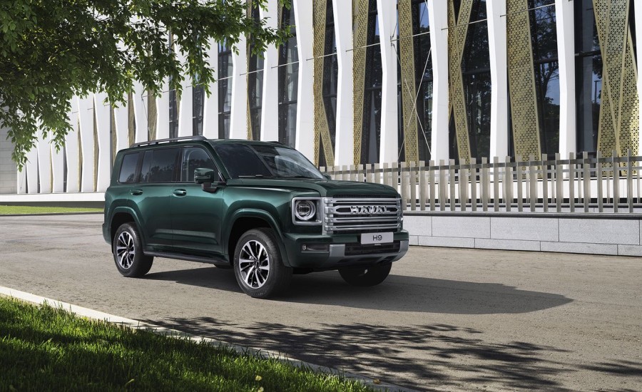 БЕЗУПРЕЧНЫЙ ВИД